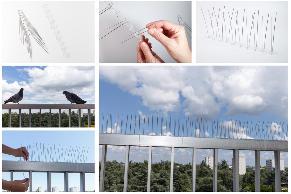 Bird Spikes Installation Service kathmandu